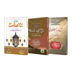 3 Books on Seerat