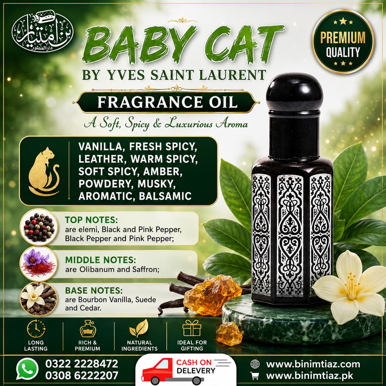 Baby Cat